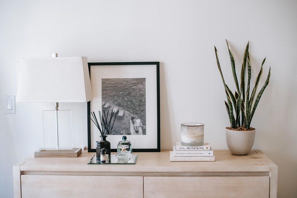 A snake plant on counter