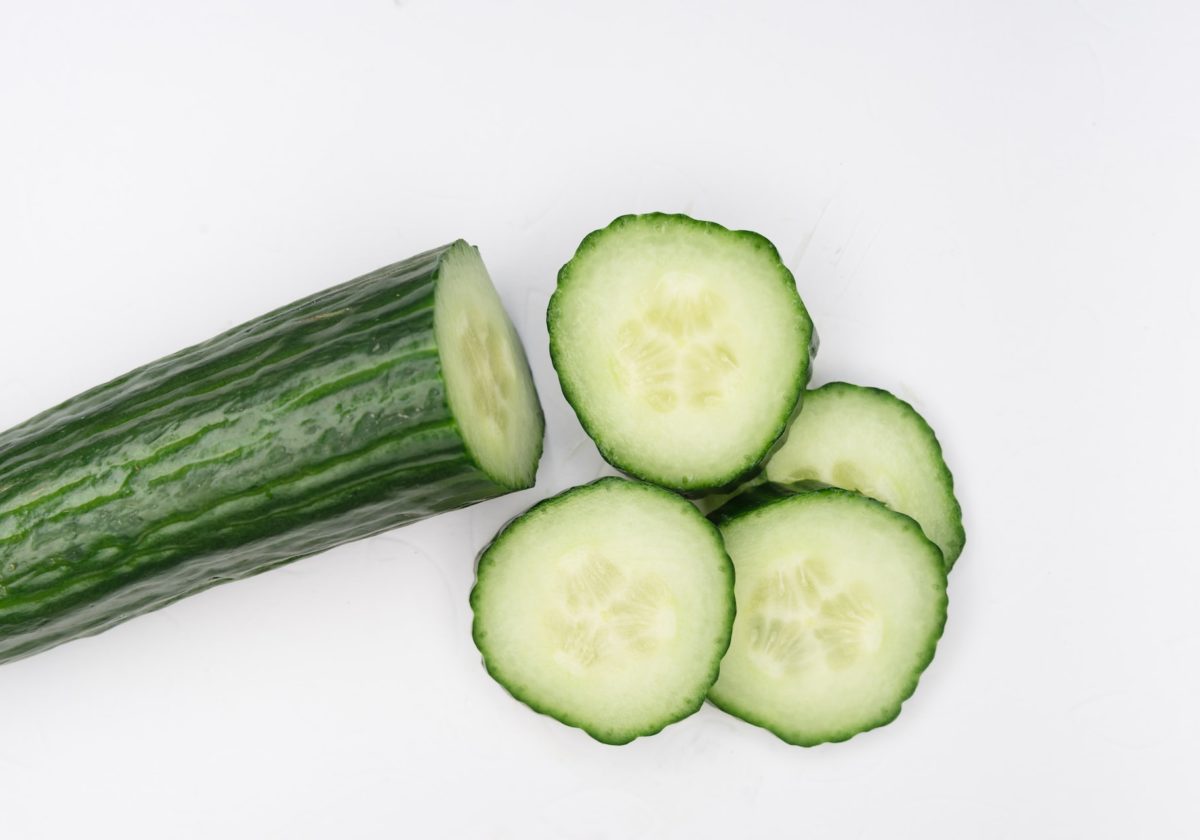 grow-cucumber-indoors.jpg