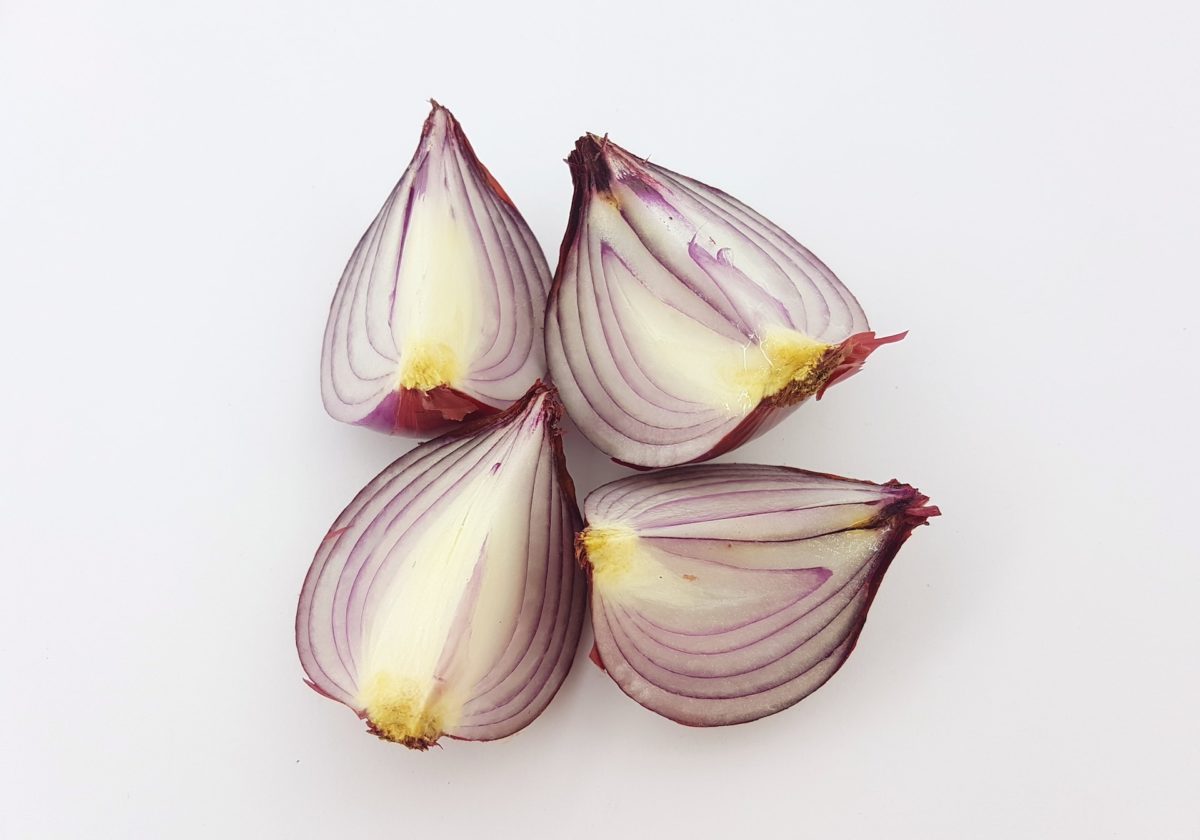 grow-onion-indoors.jpg