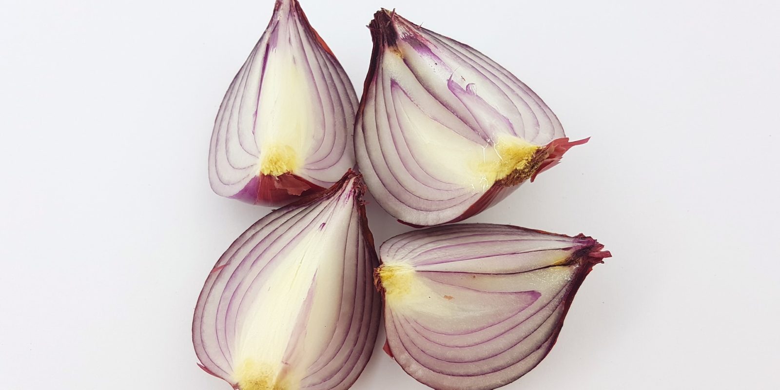 grow-onion-indoors.jpg