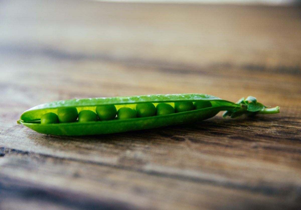 grow-peas-indoors.jpg