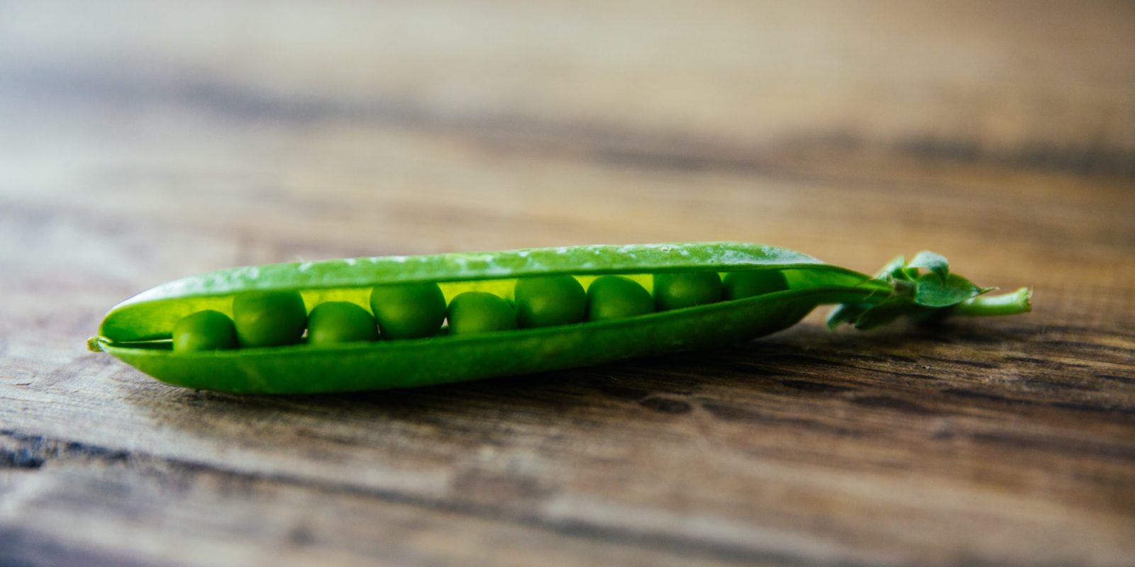 grow-peas-indoors.jpg