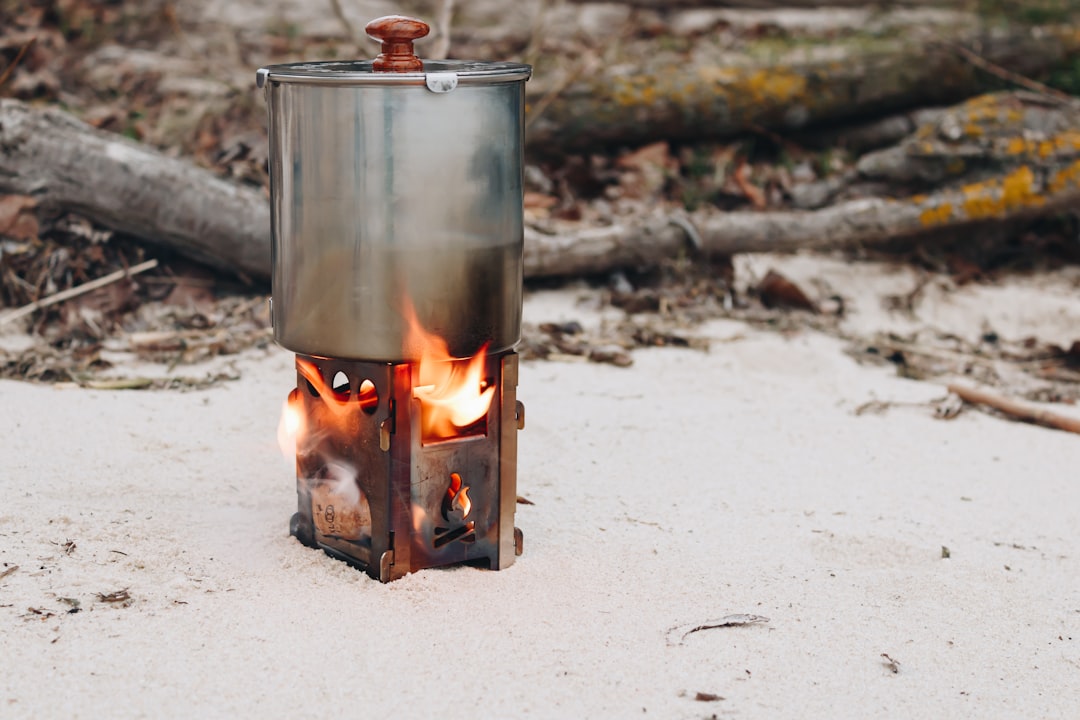 Photo Wood-fired oven