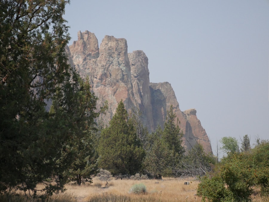 Photo Pinnacles Desert