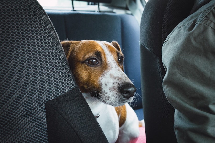 Photo "is it legal to remove front passenger seat Australia"