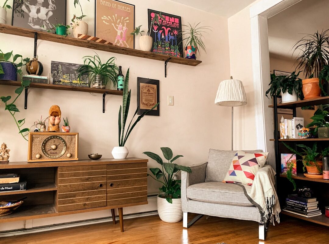 Photo Indoor plant