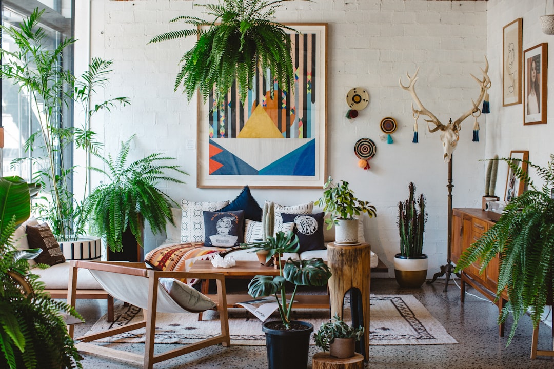 Photo Indoor plant