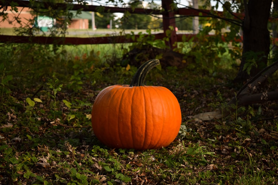Photo Pumpkin