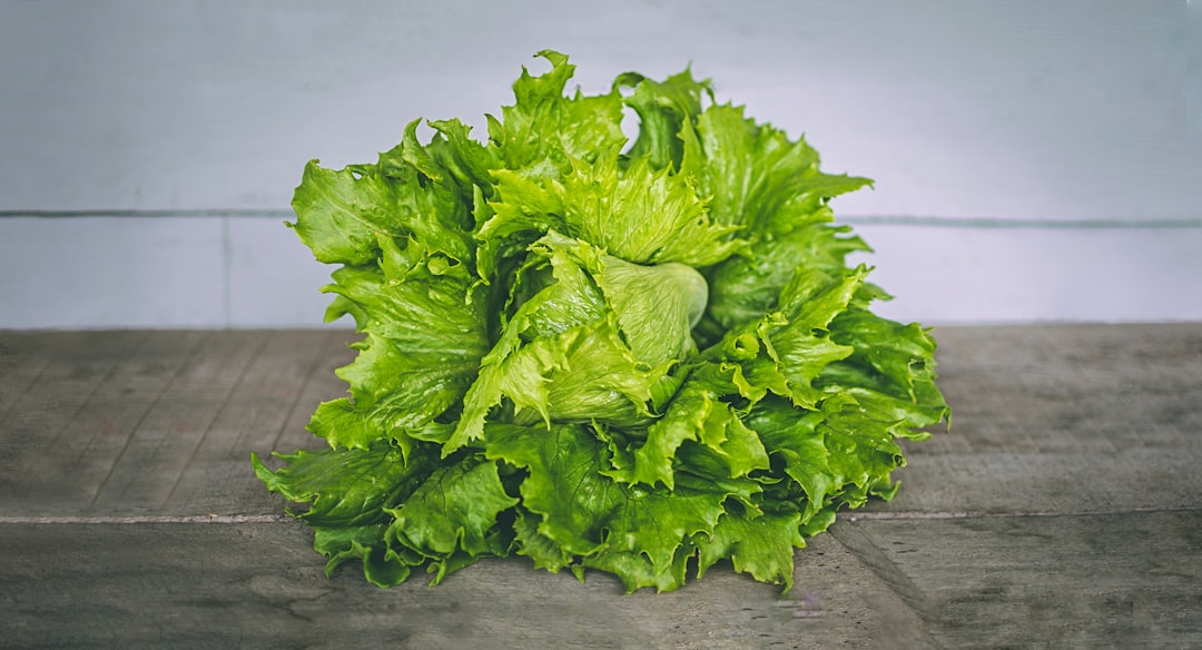 Photo Lettuce
