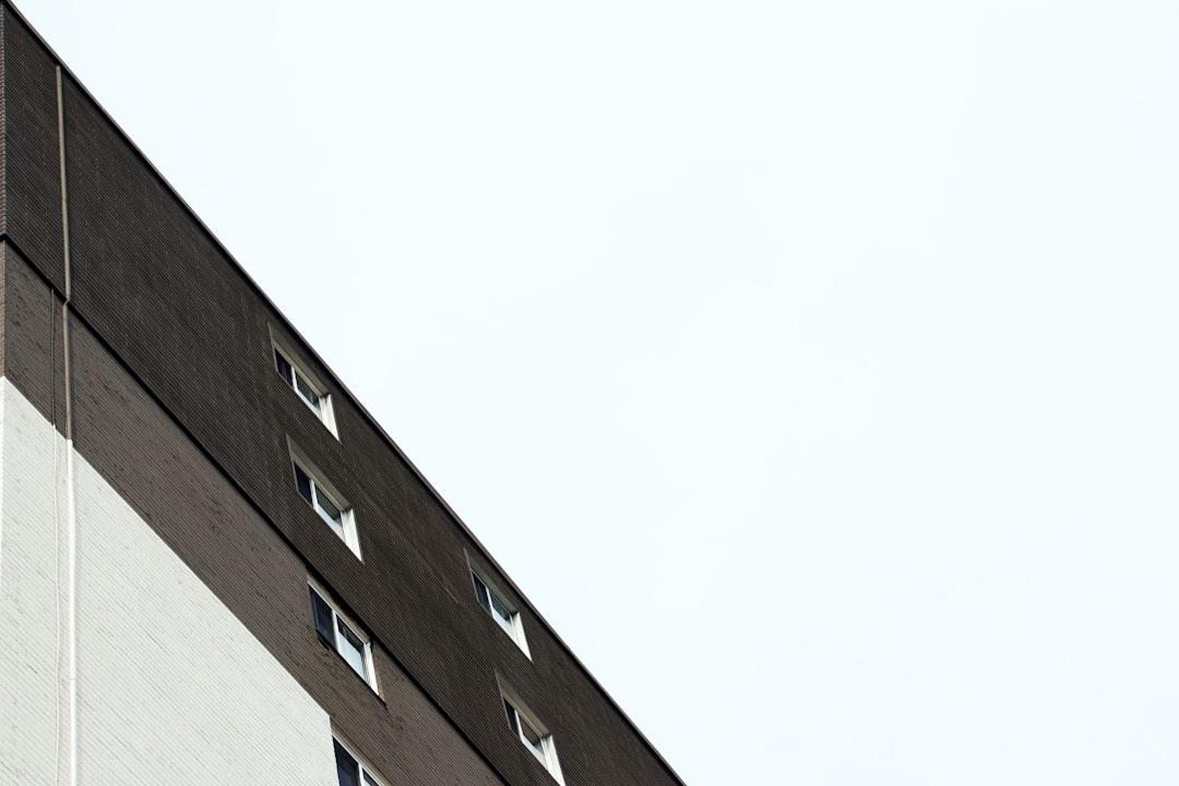 Photo Philodendron Xanadu