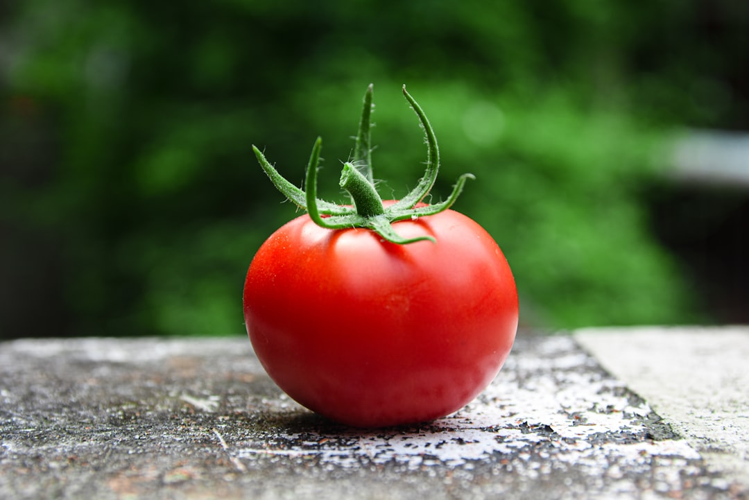 Photo Tomato