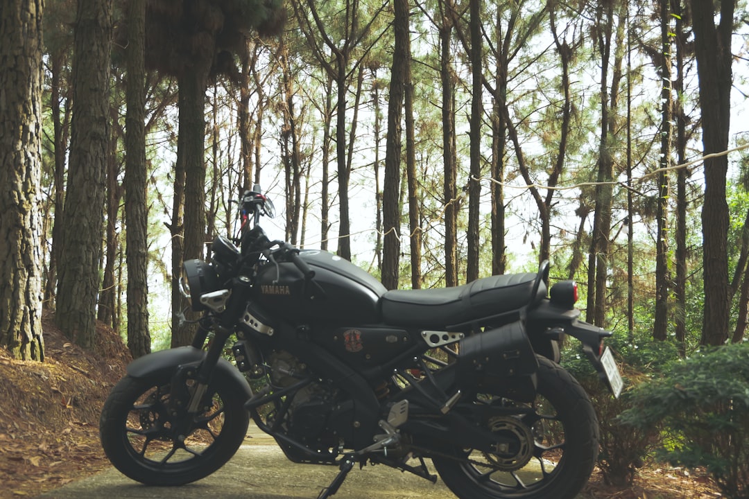 Photo Yamaha MT‑09